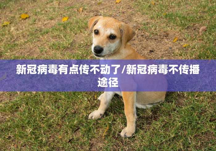 牡丹江疫情最新消息今天:牡丹江疫情最新消息2020