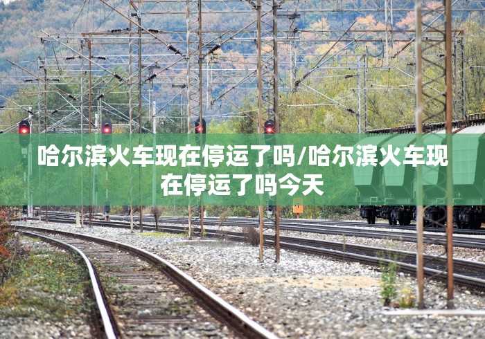 哈尔滨新增本土确诊病例5例(哈尔滨新增确诊病例3例活动轨迹) 哈尔滨新增本土确诊病例5例(哈尔滨新增确诊病例3例活动轨迹)