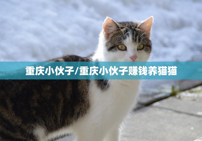 房卡秒懂“神皇房间卡充值”房卡详细充值 房卡秒懂“神皇房间卡充值”房卡详细充值