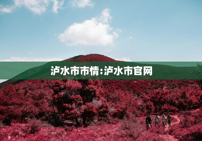 疫情重庆卫视直播哈尔滨新闻/重庆卫视重庆新闻 疫情重庆卫视直播哈尔滨新闻/重庆卫视重庆新闻
