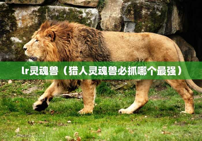 【重庆成都新冠肺炎/重庆在成都确诊病例轨迹】