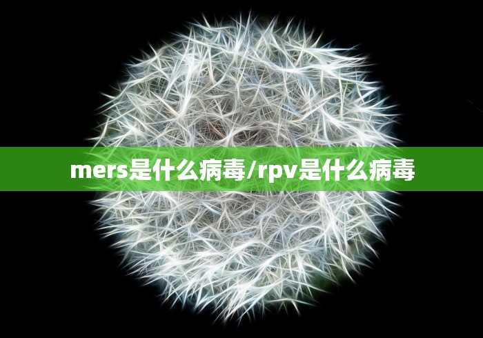 给大家讲解“微信金花房卡跟谁买”房卡使用教程 给大家讲解“微信金花房卡跟谁买”房卡使用教程