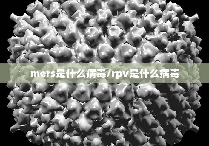 31省区市新增本土确诊3例/31省区市新增确诊8例 含本土1例