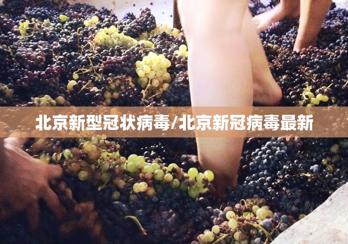 一分钟讲解“丫丫字牌免费安装开挂”(透视)开挂辅助脚本+详细开挂安装教程