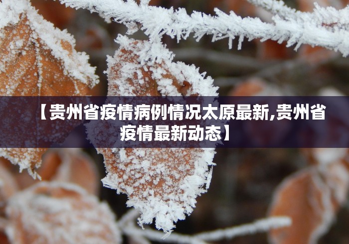 秒懂教程“最新九尾大厅牛牛 怎么买房卡”详细房卡怎么购买教程
