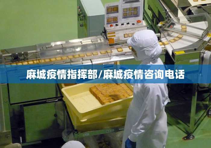 秒懂教程“微信好友炸 金花房间链接怎么弄”详细房卡教程 秒懂教程“微信好友炸 金花房间链接怎么弄”详细房卡教程