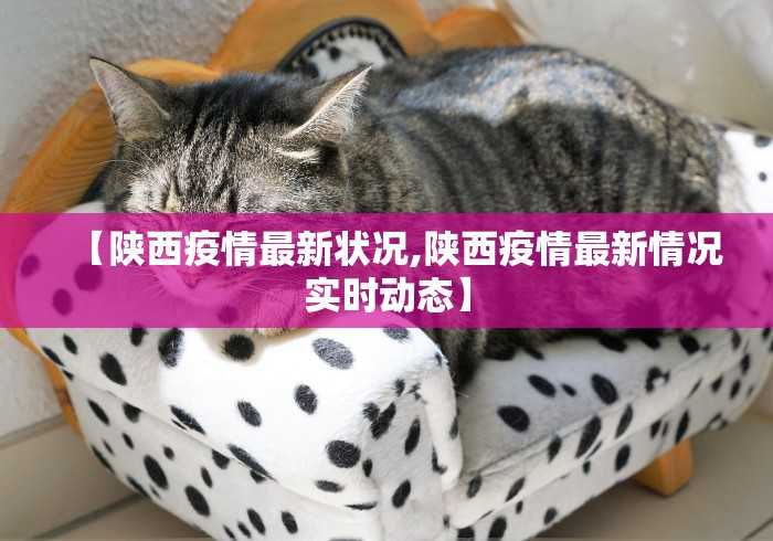 【陕西疫情最新状况,陕西疫情最新情况实时动态】