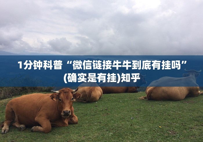 吉林舒兰市新增3例确诊:吉林舒兰市新增3例确诊病例