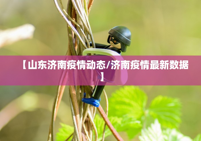 大连庄河市发现一例疑似病例(大连庄河疫情通报) 大连庄河市发现一例疑似病例(大连庄河疫情通报)