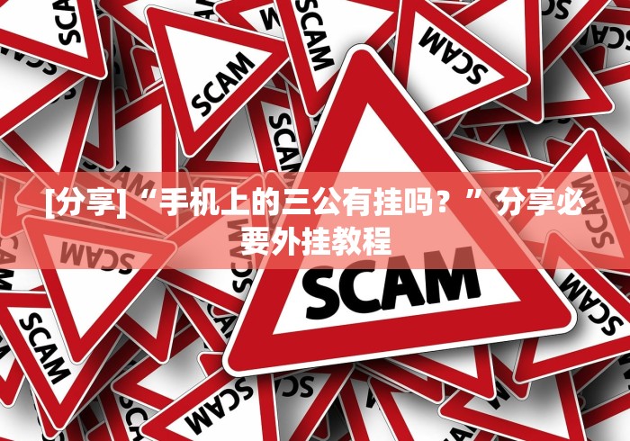[分享]“手机上的三公有挂吗？”分享必要外挂教程