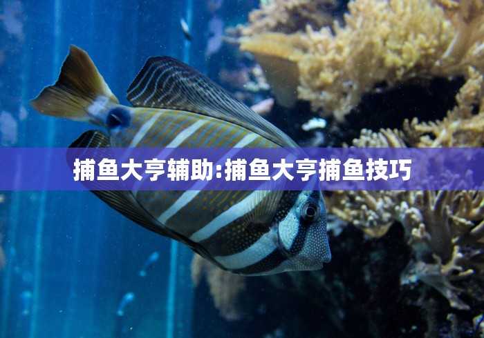 【第一消息】“胡乐邯郸麻将开挂神器”有挂详细开挂教程 【第一消息】“胡乐邯郸麻将开挂神器”有挂详细开挂教程