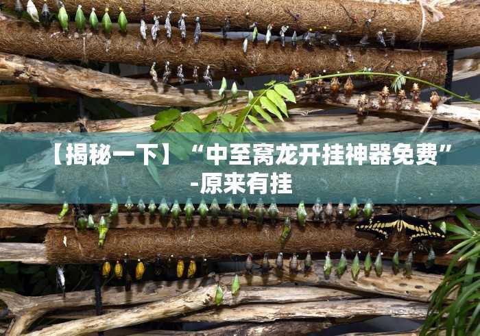 【揭秘一下】“中至窝龙开挂神器免费”-原来有挂 【揭秘一下】“中至窝龙开挂神器免费”-原来有挂