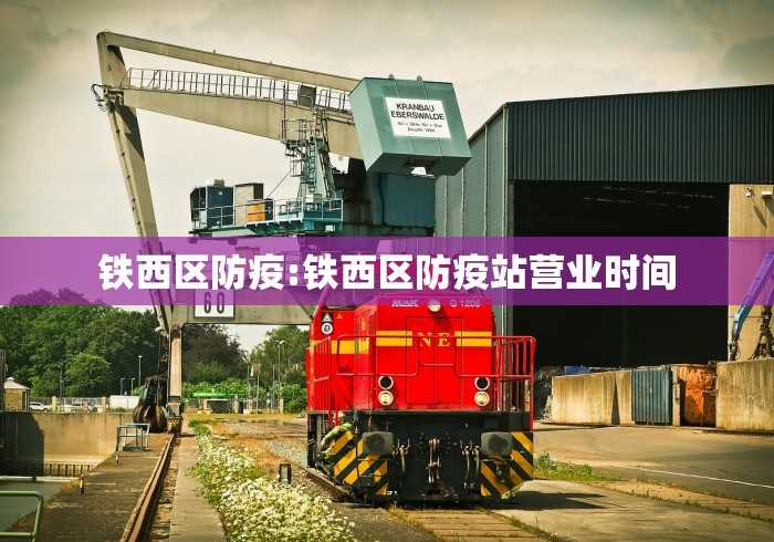 北京是不是都打疫苗了/北京现在打的疫苗是什么
