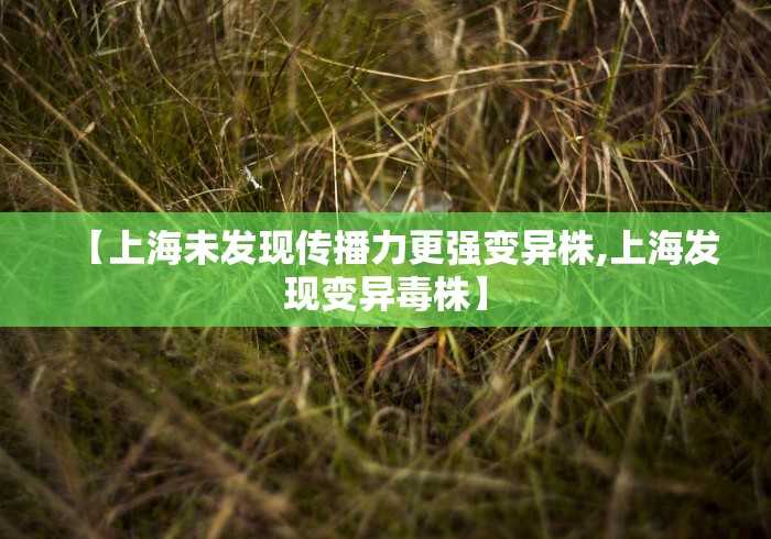 秒懂教程“新九五房间卡黑科技”轻松获取房卡全渠道