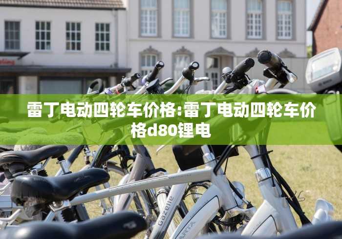 雷丁电动四轮车价格:雷丁电动四轮车价格d80锂电 雷丁电动四轮车价格:雷丁电动四轮车价格d80锂电