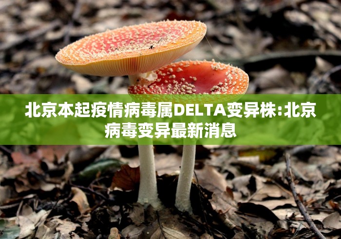 【贵州省新冠最新消息,贵州省新冠情况】 【贵州省新冠最新消息,贵州省新冠情况】