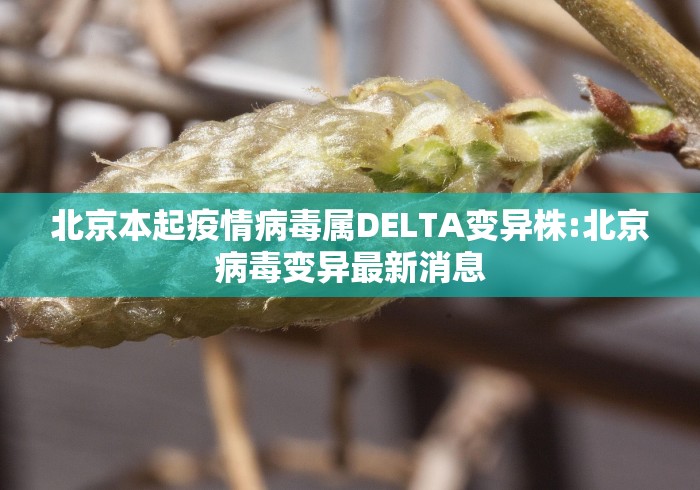 一分钟实测分享“新九天大厅金花房间卡怎么弄”在哪里获取房卡充值教程 一分钟实测分享“新九天大厅金花房间卡怎么弄”在哪里获取房卡充值教程