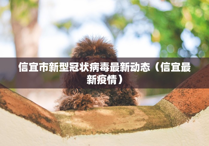丰富分享“友间十三张可以开挂吗”(果然有透视挂)