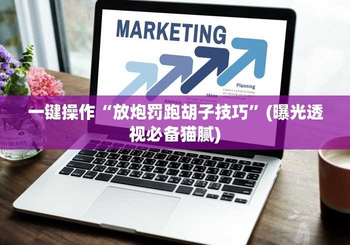 一键操作“放炮罚跑胡子技巧”(曝光透视必备猫腻)