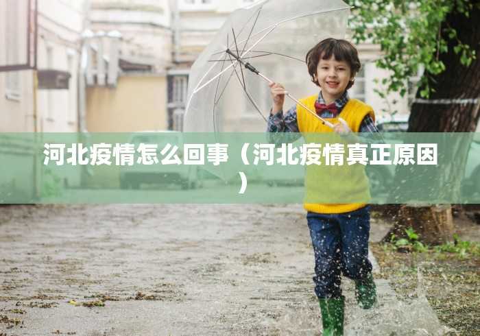 【河南新增本土确诊26例,河南新增本土确诊24例】 【河南新增本土确诊26例,河南新增本土确诊24例】