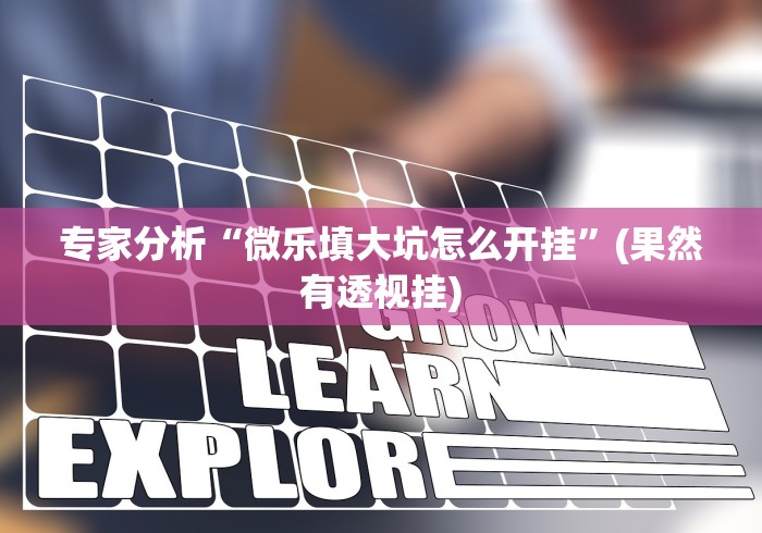 专家分析“微乐填大坑怎么开挂”(果然有透视挂) 专家分析“微乐填大坑怎么开挂”(果然有透视挂)