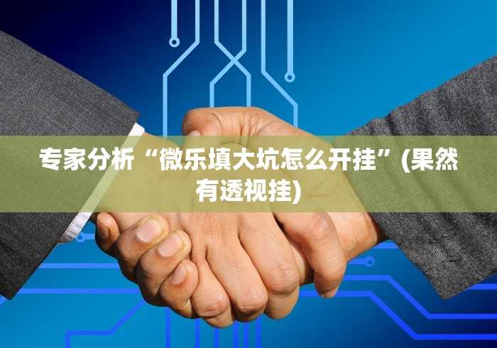 专家分析“微乐填大坑怎么开挂”(果然有透视挂) 专家分析“微乐填大坑怎么开挂”(果然有透视挂)