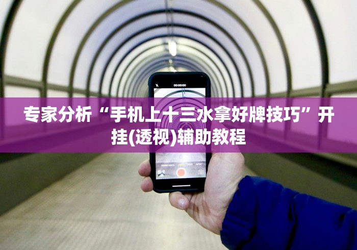 专家分析“手机上十三水拿好牌技巧”开挂(透视)辅助教程