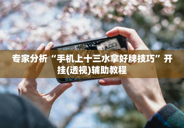 专家分析“手机上十三水拿好牌技巧”开挂(透视)辅助教程