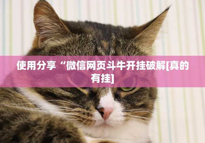 使用分享“微信网页斗牛开挂破解[真的有挂]