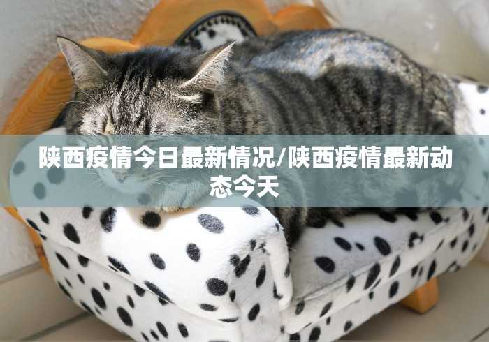 8秒详论“老铁十三水开挂技巧(确实真的有挂)-知乎