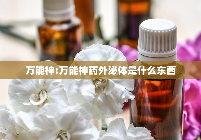 2026最新一代“功夫川麻怎么提高胜率”能不能开挂! 2026最新一代“功夫川麻怎么提高胜率”能不能开挂!