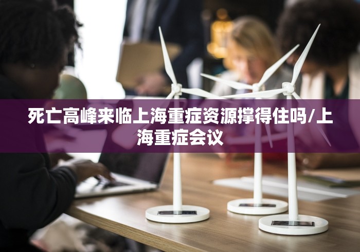 死亡高峰来临上海重症资源撑得住吗/上海重症会议