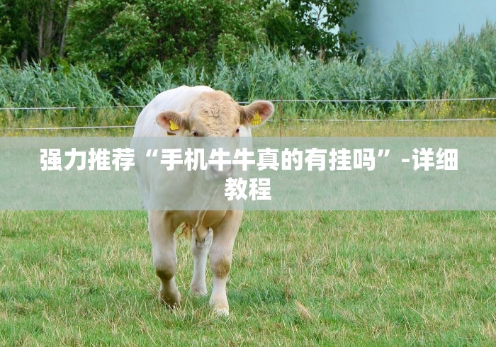 今天支付宝怎么了:支付宝怎么回事了