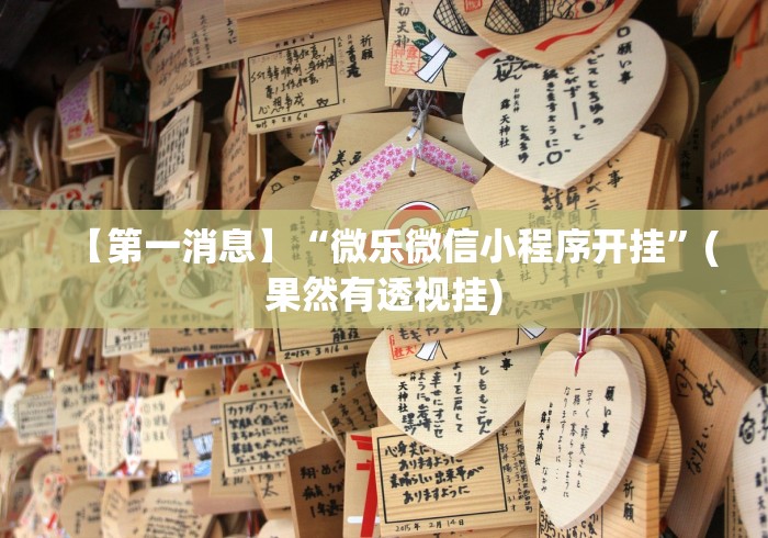 【第一消息】“微乐微信小程序开挂”(果然有透视挂)