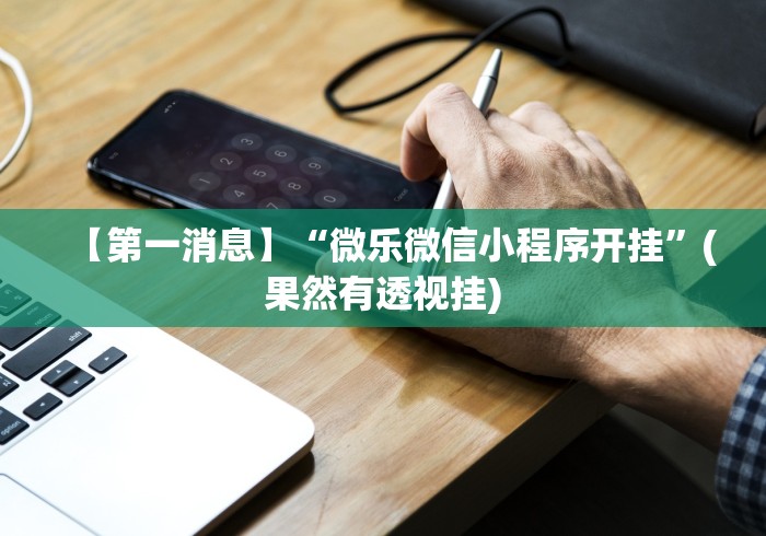【第一消息】“微乐微信小程序开挂”(果然有透视挂)