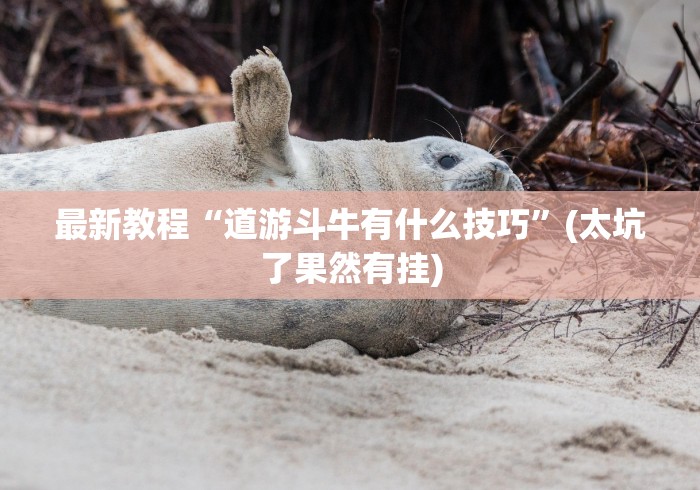 房卡必备教程“微信牛牛怎么自建房间”房卡怎么购买