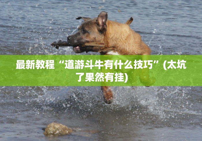 最新教程“道游斗牛有什么技巧”(太坑了果然有挂) 最新教程“道游斗牛有什么技巧”(太坑了果然有挂)