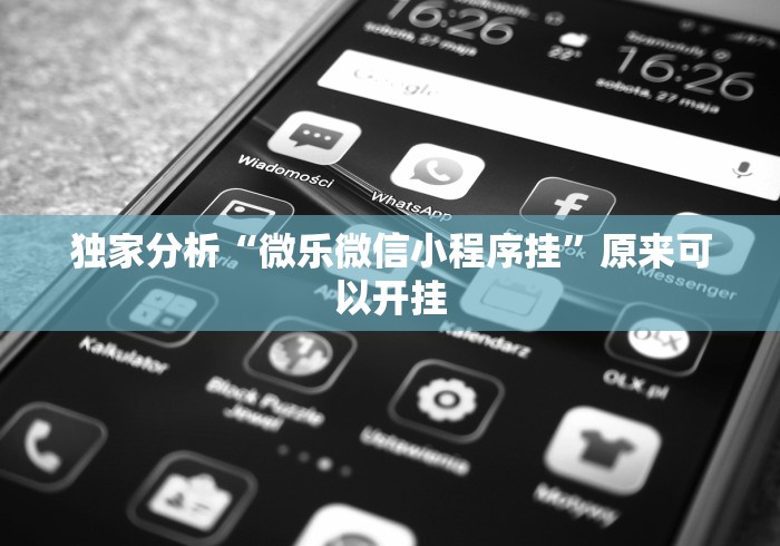 独家解答“八闽十三水漏洞”(透视挂)辅助透视教程 独家解答“八闽十三水漏洞”(透视挂)辅助透视教程