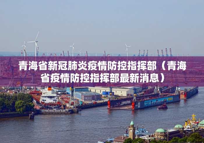 青海省新冠肺炎疫情防控指挥部(青海省疫情防控指挥部最新消息) 青海省新冠肺炎疫情防控指挥部(青海省疫情防控指挥部最新消息)