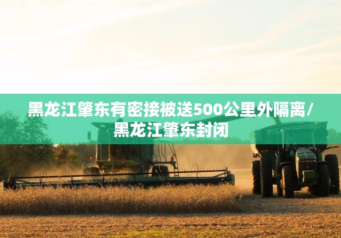 31省区市新增确诊病例20例/31省区市新增确诊病例41例 31省区市新增确诊病例20例/31省区市新增确诊病例41例