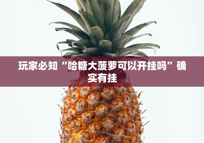 玩家必知“哈糖大菠萝可以开挂吗”确实有挂 玩家必知“哈糖大菠萝可以开挂吗”确实有挂