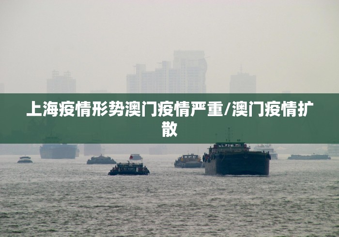 黑龙江新增5例确诊3例无症状/黑龙江新增47例确诊88例无症状 黑龙江新增5例确诊3例无症状/黑龙江新增47例确诊88例无症状