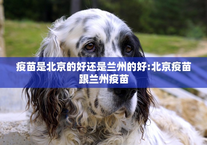 给大家讲解“微信网页牛牛链接房间卡”房卡怎么购买 给大家讲解“微信网页牛牛链接房间卡”房卡怎么购买