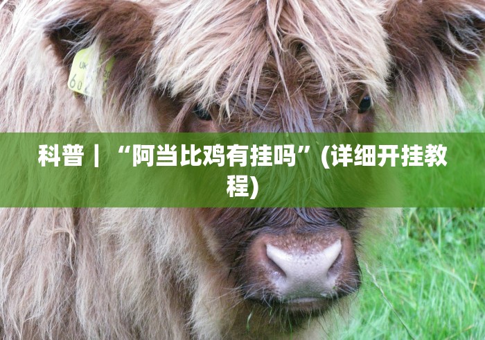 玩家必知“天帝大厅金花房间卡怎么弄”详细房卡使用教程 玩家必知“天帝大厅金花房间卡怎么弄”详细房卡使用教程