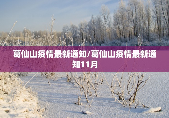 【12月13日新增确诊76例,12月13号疫情】