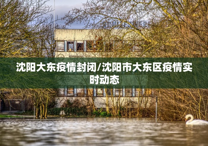 沈阳大东疫情封闭/沈阳市大东区疫情实时动态 沈阳大东疫情封闭/沈阳市大东区疫情实时动态