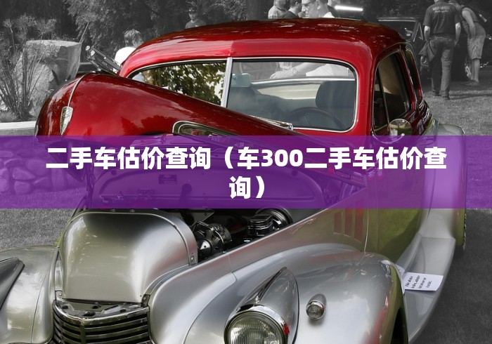 二手车估价查询(车300二手车估价查询) 二手车估价查询(车300二手车估价查询)