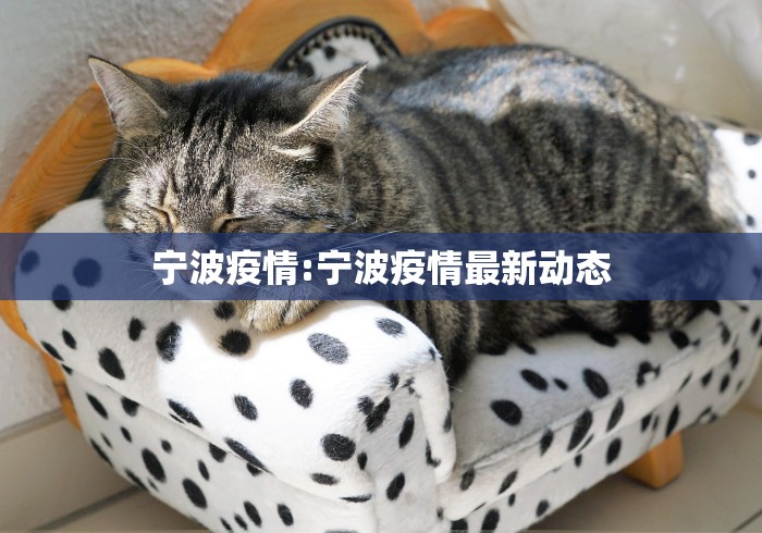 2026玩家爆料“新二号牛牛房咔在哪买”房卡怎么购买