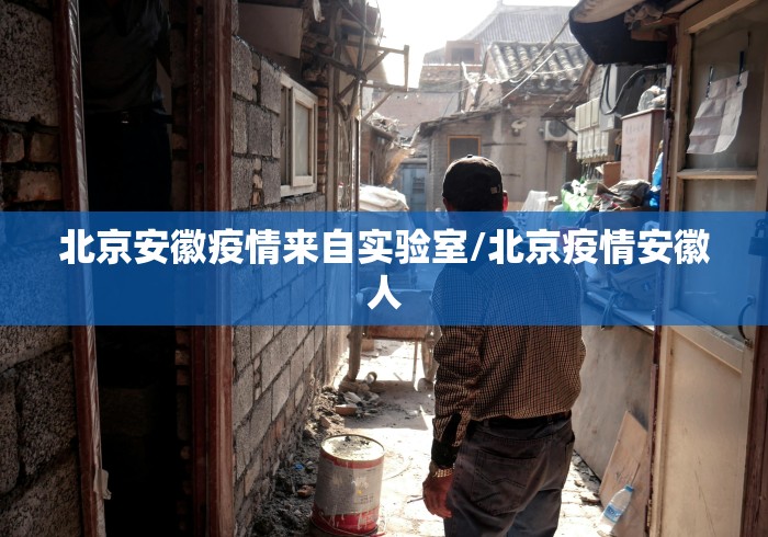 北京安徽疫情来自实验室/北京疫情安徽人 北京安徽疫情来自实验室/北京疫情安徽人