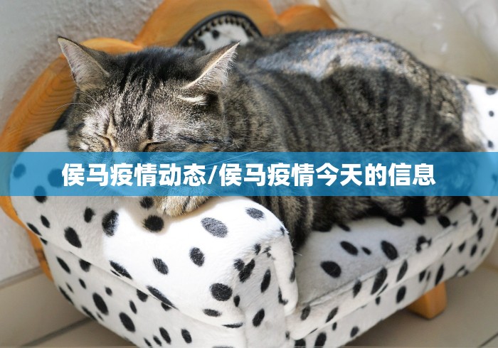 2026房卡教程“新速度大厅金花房间卡怎么弄”在哪里获取房卡充值教程